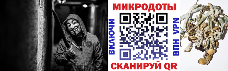 гидра зеркало  Лянтор  Галлюциногенные грибы Psilocybine cubensis 