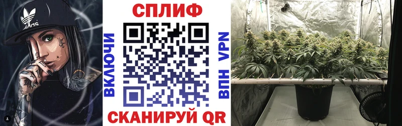 купить наркоту  Лянтор  Бошки марихуана конопля 